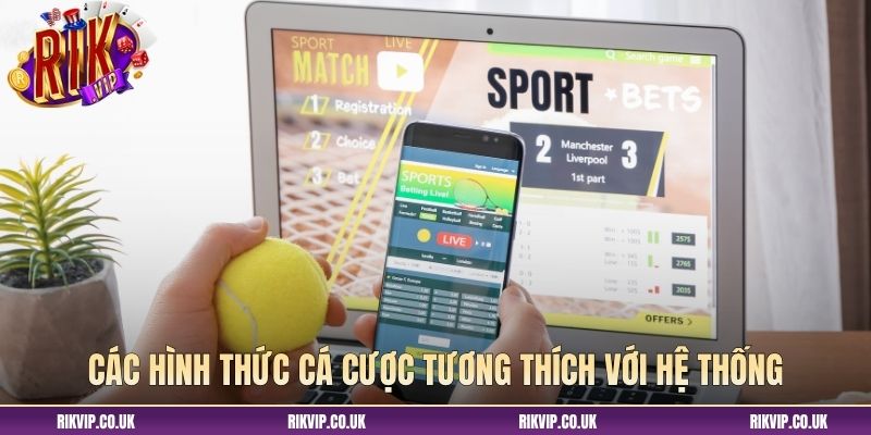 Các hình thức cá cược tương thích với hệ thống